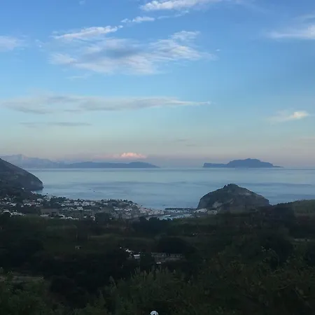 海王别墅住宿加早餐旅馆 住宿加早餐酒店