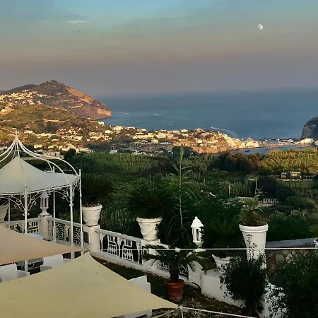 Neptunus 3* Forio (Isola d'Ischia)