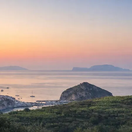 فندق مبيت وإفطار Hotiday Neptunus Forio di Ischia