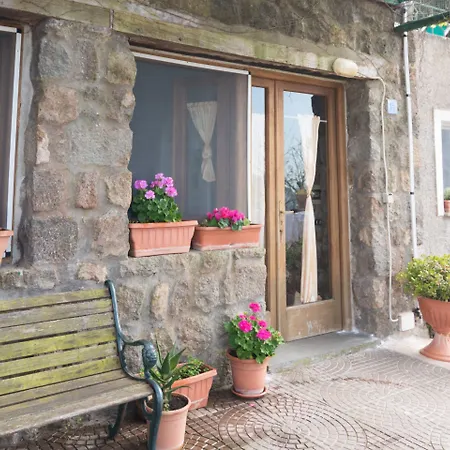 ベッド・アンド・ブレックファスト Neptunus 3*